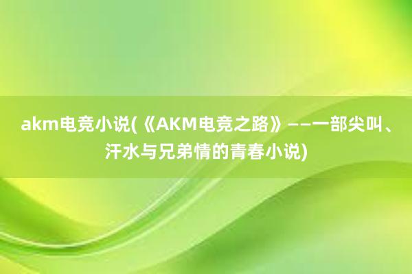 akm电竞小说(《AKM电竞之路》——一部尖叫、汗水与兄弟情的青春小说)