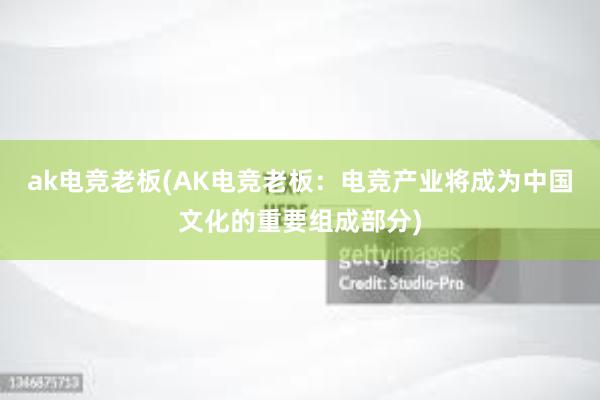 ak电竞老板(AK电竞老板：电竞产业将成为中国文化的重要组成部分)