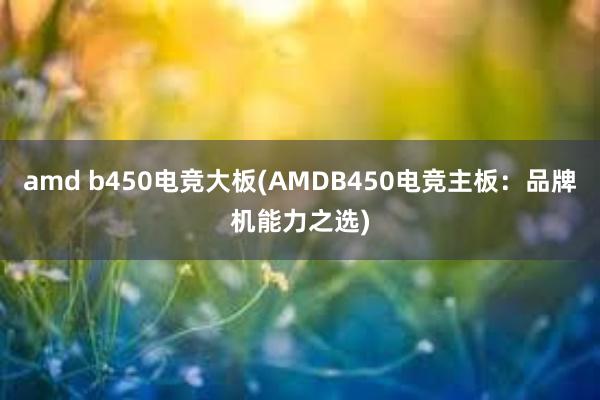 amd b450电竞大板(AMDB450电竞主板：品牌机能力之选)