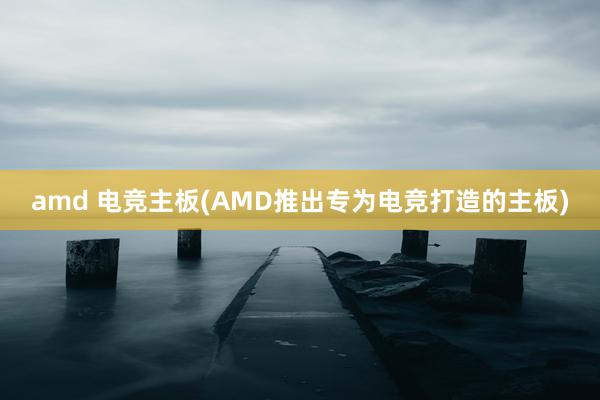 amd 电竞主板(AMD推出专为电竞打造的主板)