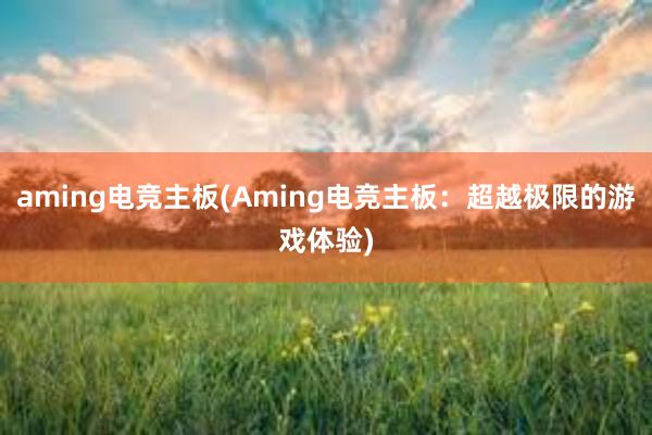 aming电竞主板(Aming电竞主板：超越极限的游戏体验)