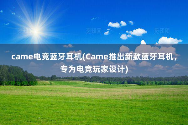 came电竞蓝牙耳机(Came推出新款蓝牙耳机，专为电竞玩家设计)