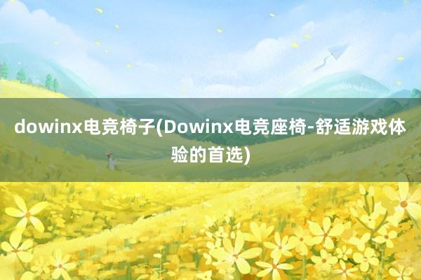 dowinx电竞椅子(Dowinx电竞座椅-舒适游戏体验的首选)