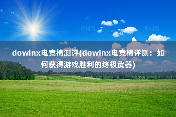 dowinx电竞椅测评(dowinx电竞椅评测：如何获得游戏胜利的终极武器)