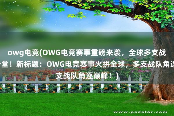 owg电竞(OWG电竞赛事重磅来袭，全球多支战队齐聚一堂！新标题：OWG电竞赛事火拼全球，多支战队角逐巅峰！)