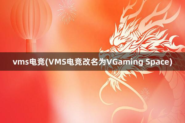 vms电竞(VMS电竞改名为VGaming Space)