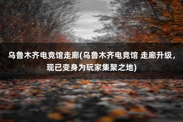 乌鲁木齐电竞馆走廊(乌鲁木齐电竞馆 走廊升级，现已变身为玩家集聚之地)