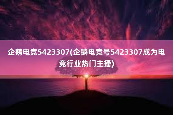 企鹅电竞5423307(企鹅电竞号5423307成为电竞行业热门主播)