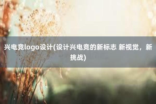 兴电竞logo设计(设计兴电竞的新标志 新视觉，新挑战)