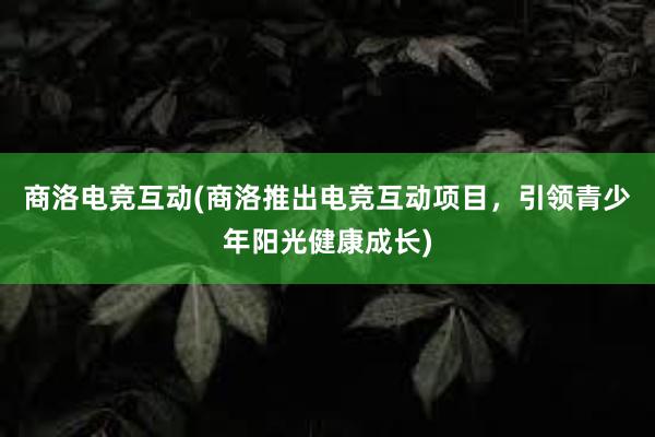 商洛电竞互动(商洛推出电竞互动项目，引领青少年阳光健康成长)