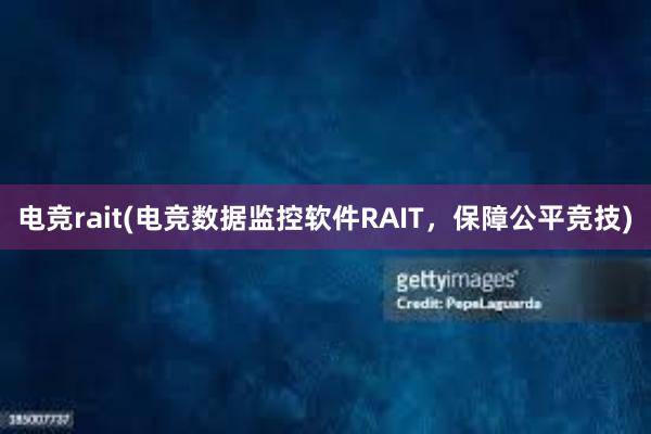 电竞rait(电竞数据监控软件RAIT，保障公平竞技)