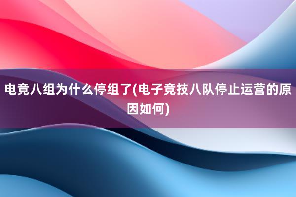 电竞八组为什么停组了(电子竞技八队停止运营的原因如何)