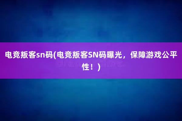 电竞叛客sn码(电竞叛客SN码曝光，保障游戏公平性！)