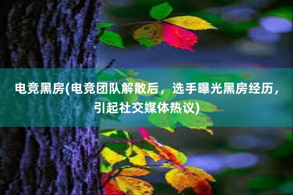 电竞黑房(电竞团队解散后，选手曝光黑房经历，引起社交媒体热议)