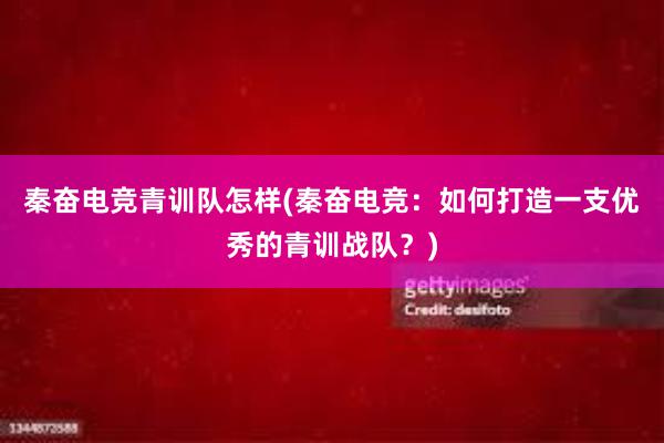 秦奋电竞青训队怎样(秦奋电竞：如何打造一支优秀的青训战队？)