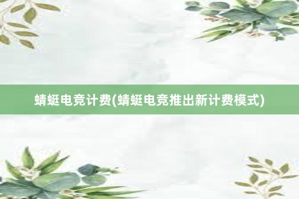 蜻蜓电竞计费(蜻蜓电竞推出新计费模式)