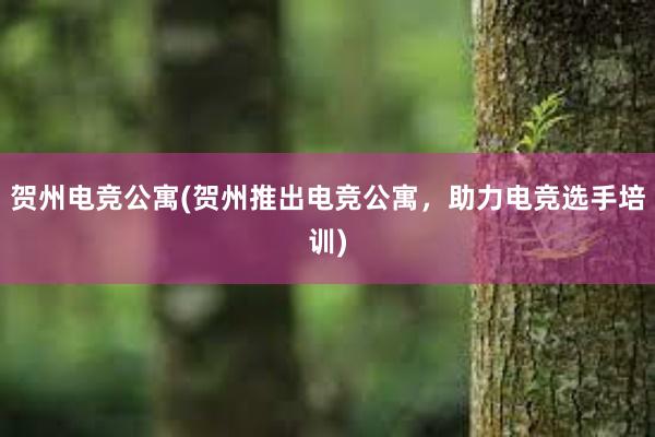 贺州电竞公寓(贺州推出电竞公寓，助力电竞选手培训)