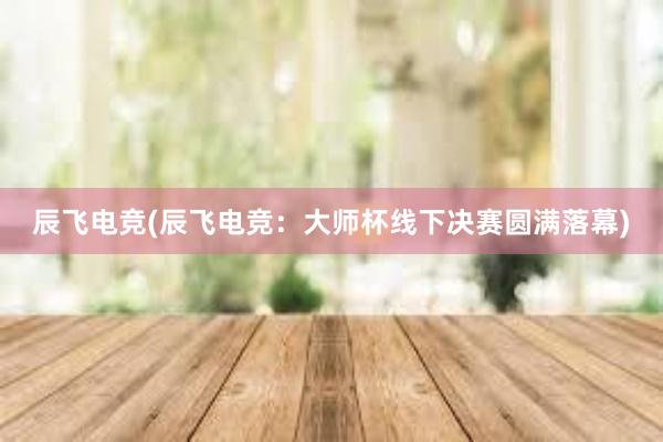 辰飞电竞(辰飞电竞：大师杯线下决赛圆满落幕)