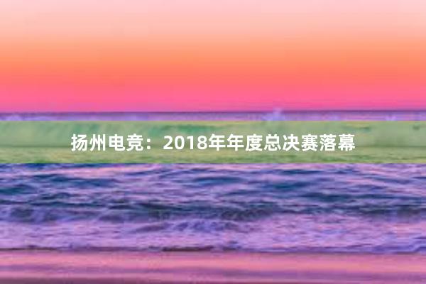 扬州电竞：2018年年度总决赛落幕