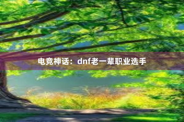 电竞神话：dnf老一辈职业选手