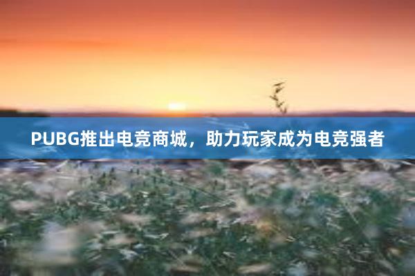 PUBG推出电竞商城，助力玩家成为电竞强者