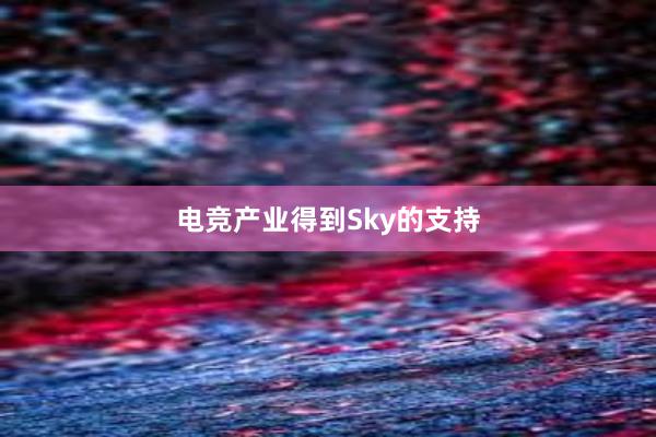 电竞产业得到Sky的支持