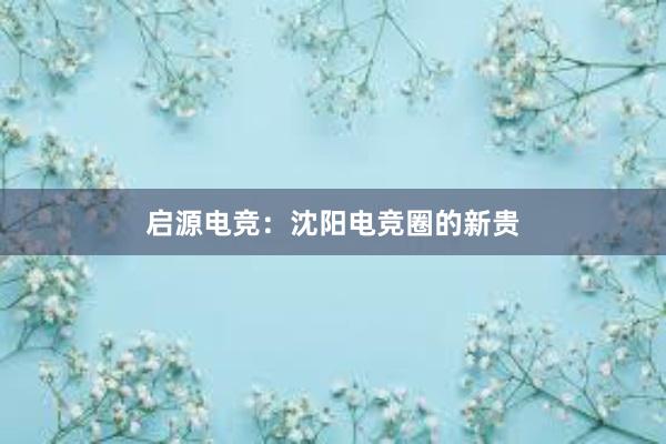 启源电竞：沈阳电竞圈的新贵