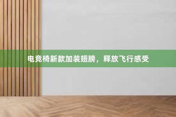 电竞椅新款加装翅膀，释放飞行感受