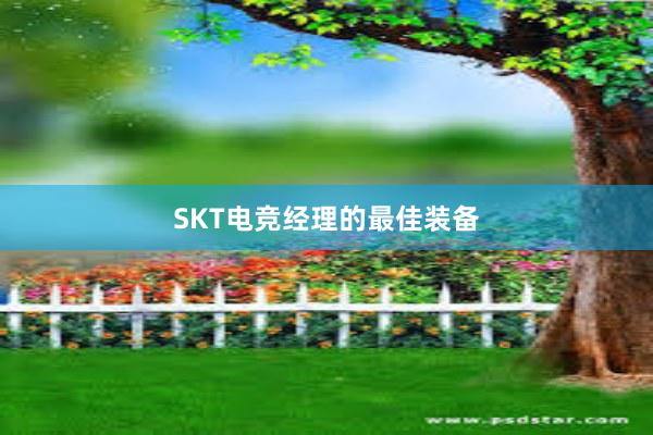 SKT电竞经理的最佳装备