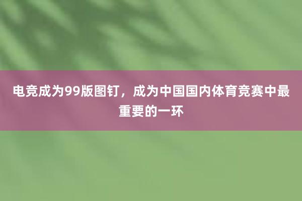 电竞成为99版图钉，成为中国国内体育竞赛中最重要的一环